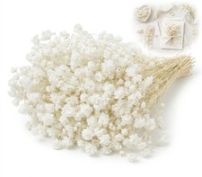 Wei&szlig;e getrocknete Gypsophila Bl&uuml;ten mit Stielen, 15,60*13,00*2,30, Traumstern