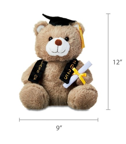 Graduation Bear Class of 2025, Graduation gift, Bear with cap and diploma