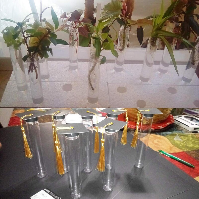 Cleminsta 8 Pièces Tubes à Essai Acrylique Réutilisables 12x2,2 Cm - Pour Fleurs, DIY Et Arrangements Floraux