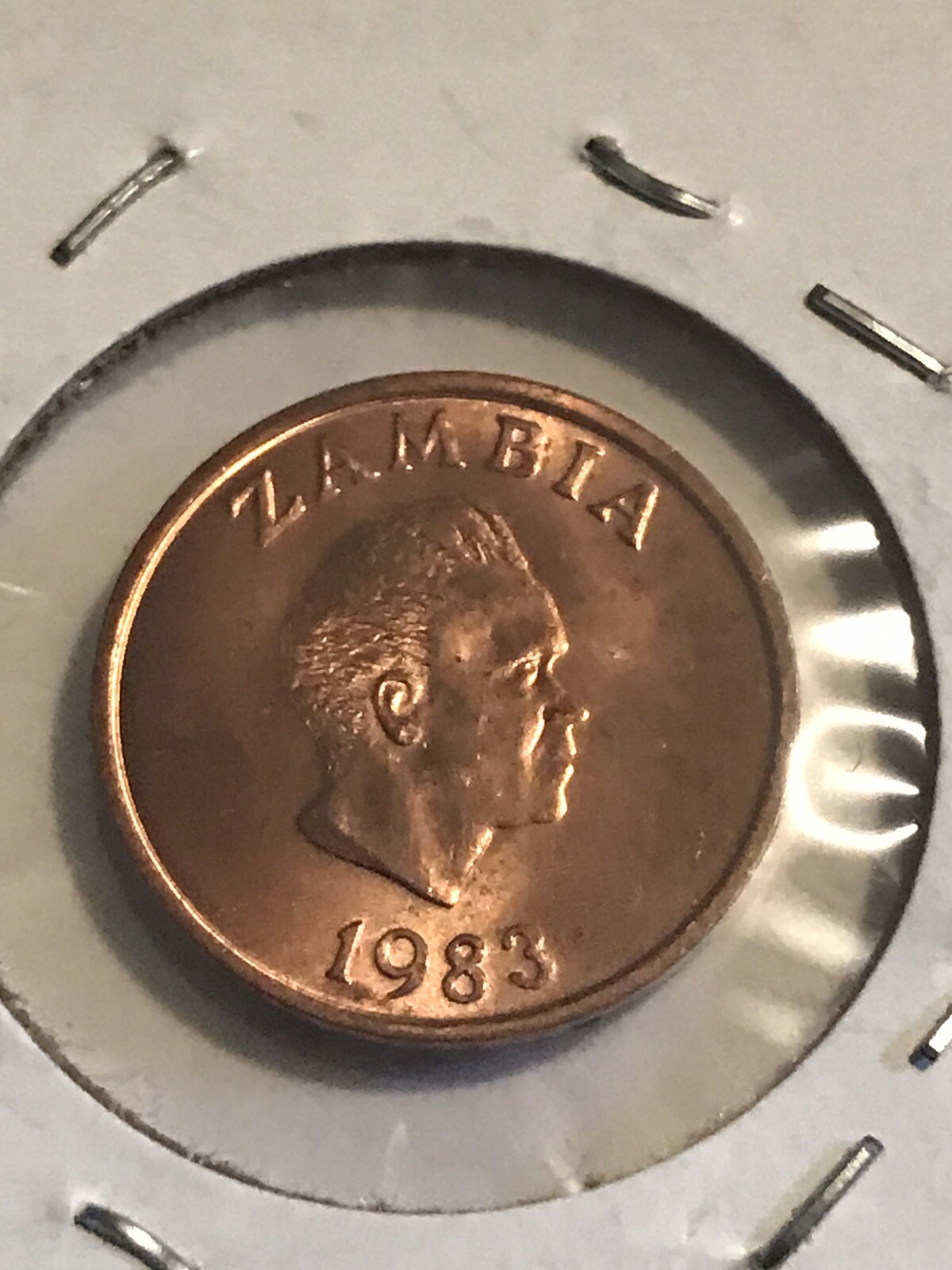 1983 Zambia 1 Ngwee Coin eBay