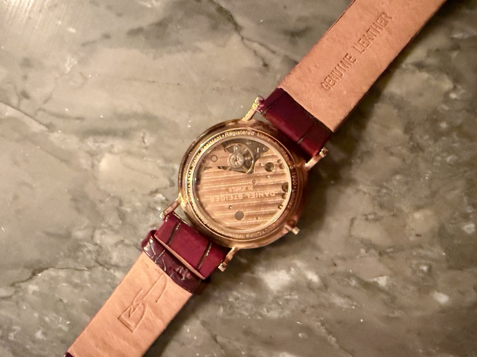 Daniel Steiger Generation Automatic Wristwatch Go… - image 3