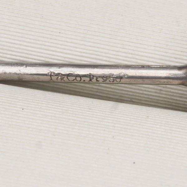 Auténtica Tiffany&Co. Pendientes color zafiro por yarda ÚNICOS 950 platino Foto 4 de 4