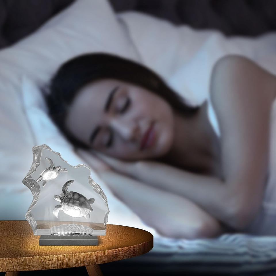 Illuminated LED Display Stand with 10 White Lights USB Powered