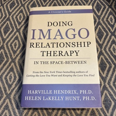 Doing Imago Relationship Therapy in the Space Between : A Clinician's Guide...
