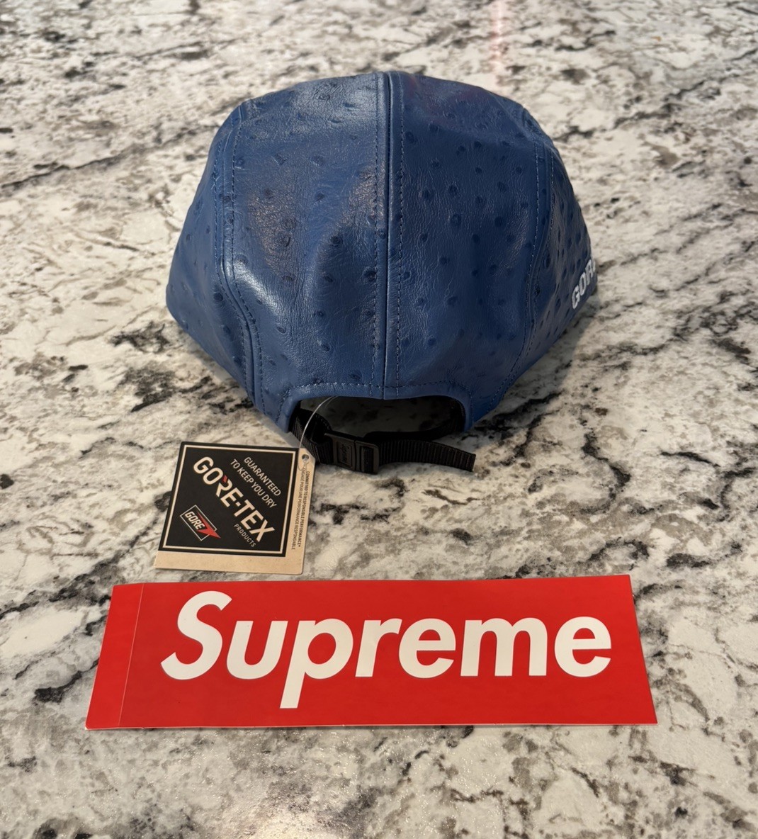 Supreme Ostrich Embossed Leather Gore-Tex Camp Cap Blue - 26SS
