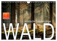 "Calendar 2027 · US Version · Forest - Mystical Walks (Wall Calendar 2027 12\" × 8"