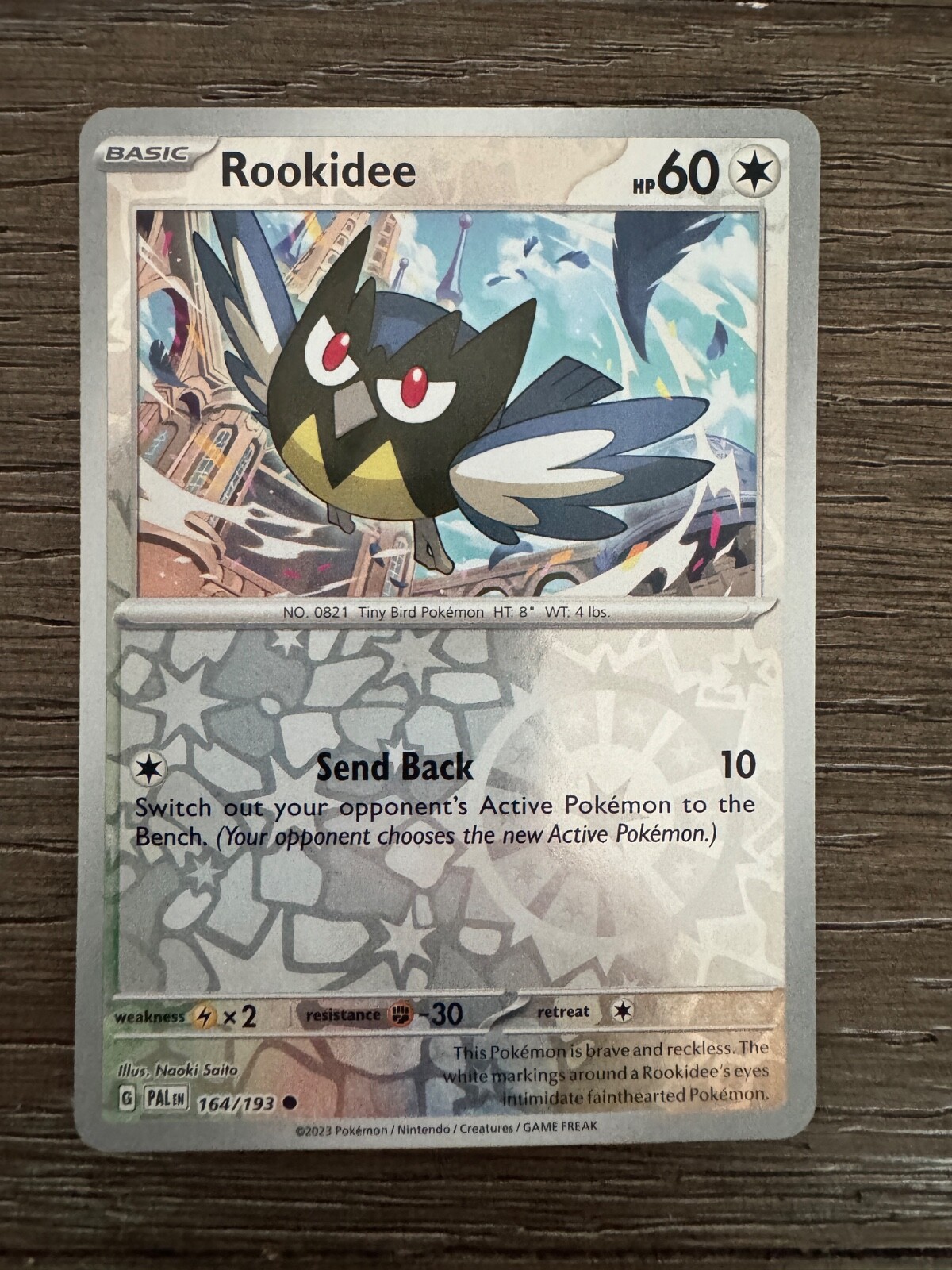 Pokemon -  Rookidee - 164/193 - Reverse Holo  - Paldea Evolved - NM/M