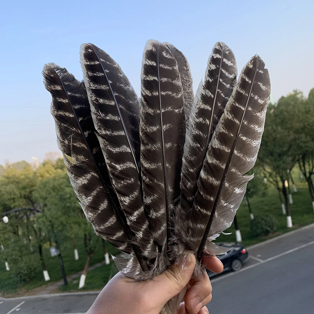 New 10/20/50pcs precious wild turkey wings feathers 8-12/10-12 inches