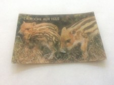 La Roche Aux Fees Lenticular Animaux Sauvages Card France #21 BOAR