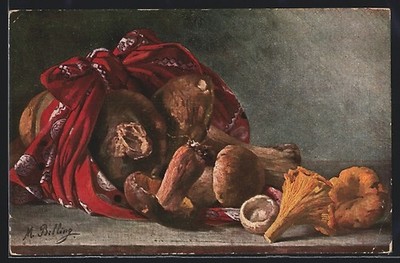 Künstler-AK M. Billing: Waldpilze, Stillleben 