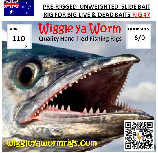 Unweighted Pre-Rigged Slide Rig for BIG baits/fish, 110lb wire, 2x