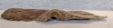 Natural Driftwood For Terrarium, Aquarium, Craft, Decor 21.5" X 6" X 3"