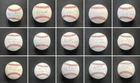 1982 WORLD SERIES Milwaukee Brewers Signed Partial Team Set Of 15 MLB Baseballs