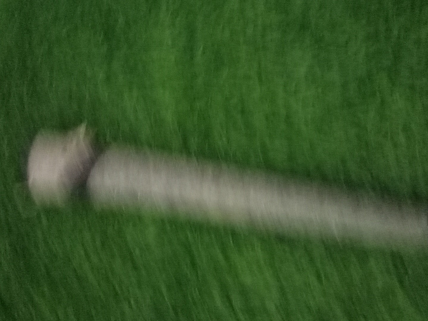 Nike IC 2010A Blade Plumbers-Neck 35'5" Putter Golf Club RH thumbnail 15