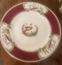 8 Chelsea Bird by Myott Staffordshire 10 5/8" Dinner Plates