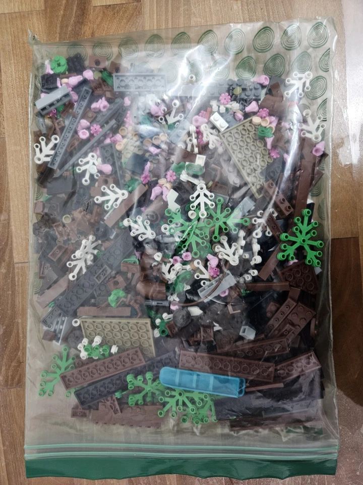 LEGO Botanicals 10281 Bonsai Tree, foto 1 di 4