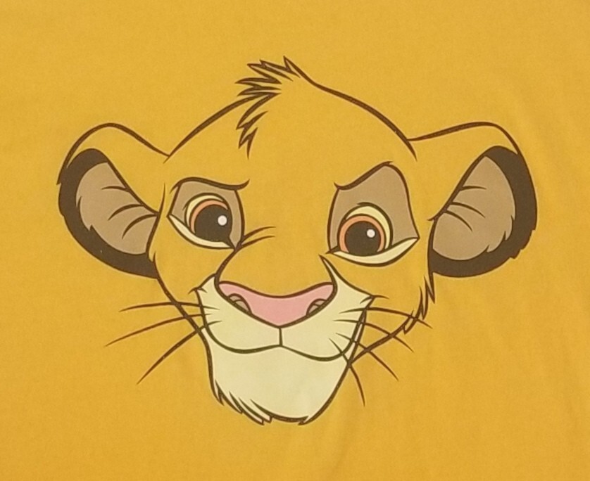 Lion King Drawing Face