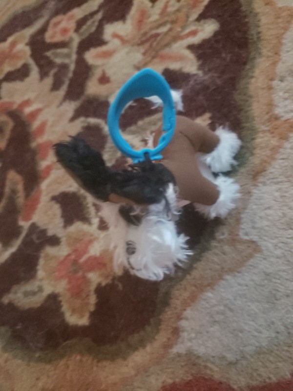 Hotel For Dogs McDonald's 2009 Happy Meal Plush Toy #6 Romeo