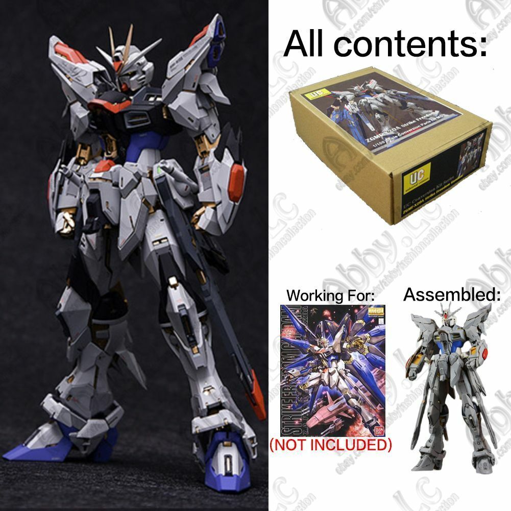 for MG 1/100 Strike Freedom Recast Fortune Meow's Studio Dress up