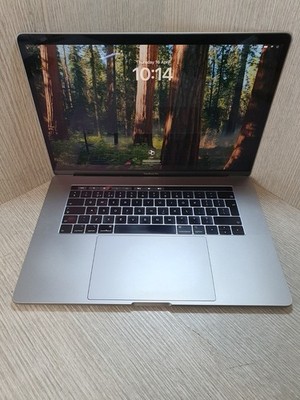A1990 2018 Apple MacBook Pro 15,4'' i9 32GB 1TB SSD Grau Sequoia Grade C EC1604
