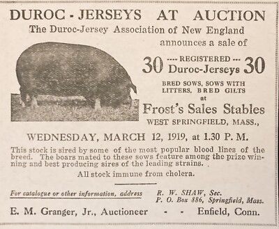 1919 AD.(XG3)~FROST S SALES STABLES, W, SPRINGFIELD, MASS. DUROC-JERSEY AUCTION