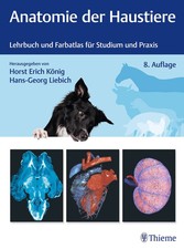 Anatomie der Haustiere | Lehrbuch und Farbatlas für Studium und Praxis | Buch