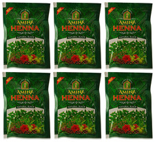 Henna Natural Black Hair Colour Heena Mehndi, 25 G Pack of 6