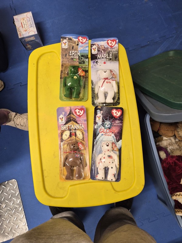 TY Teenie Beanie Babies Lot of 4 On Card Erin Maple Britannia Glory 1999