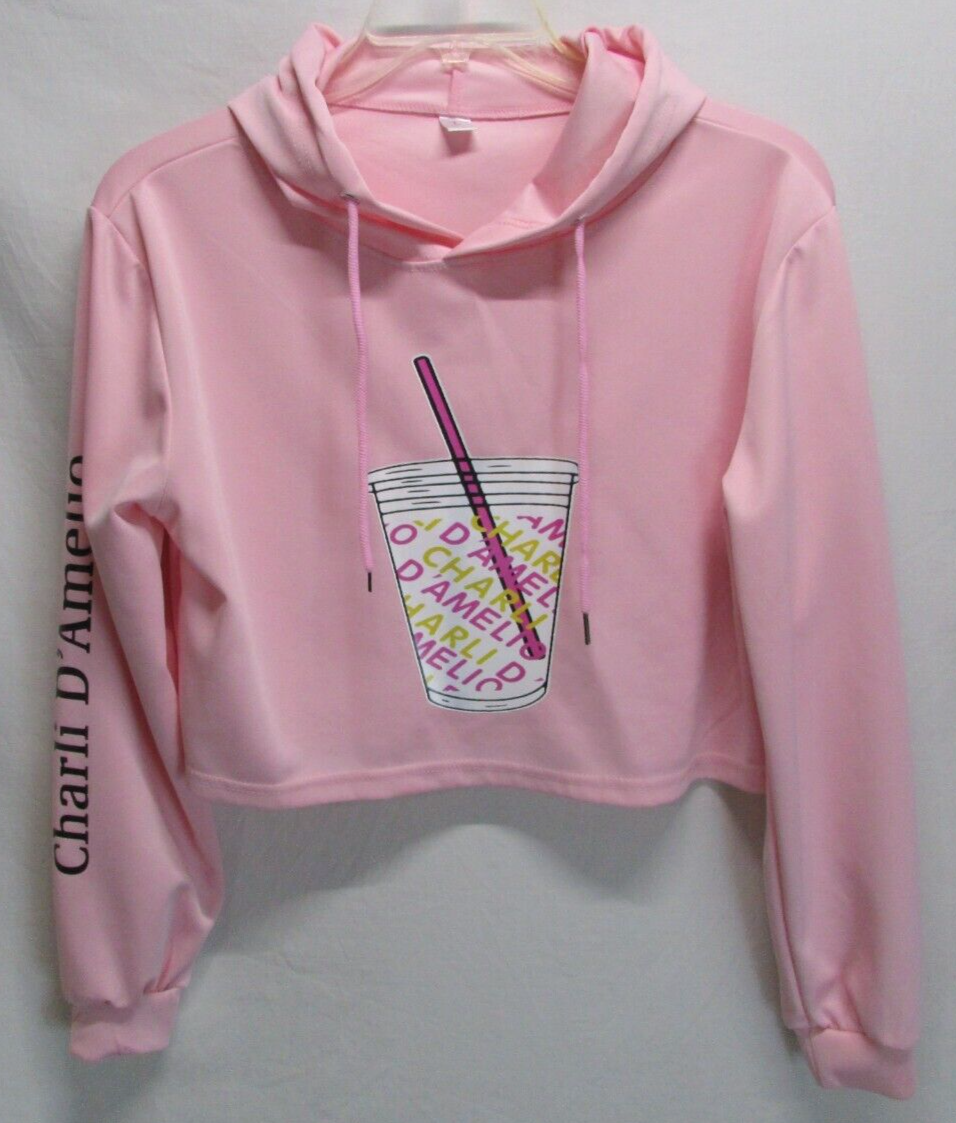 Tourist Dixie Merch Hoodie Charli Social Tourist Selected Charli