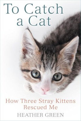To Catch a Cat: How Three Stray Kittens Rescued Me - Paperback NEW Heather Green