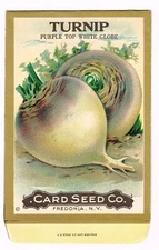 VINTAGE CARD SEED PACKET NEW YORK ANTIQUE C1910 TURNIP PURPLE TOP ART RARE