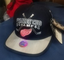 Vintage Detroit Red Wings Hat Cap Strapback Black 1998 Stanley Cup Champions NHL