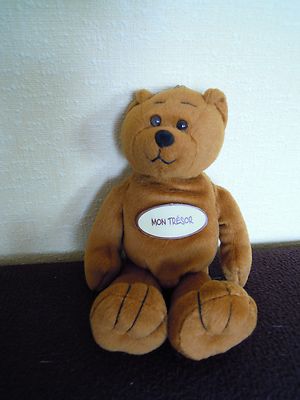 mon ours en peluche