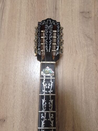 Greek Bouzouki SPECIAL OFFER-Hardcase & Pickup & 300 Backing Track & Pdf Scores - Picture 7 of 17