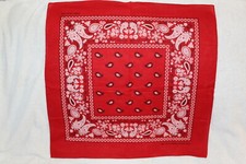 BANDANA RED PAISLEY SET OF 3