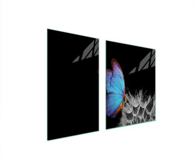 Glasplatte und Schneidebrett 100x52 Schmetterling