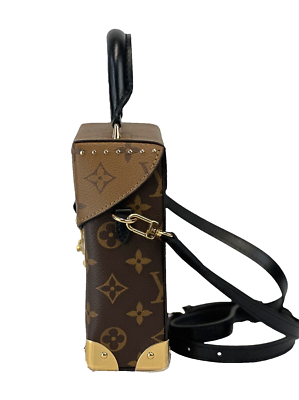 Louis Vuitton Camera Box Canvas Top Handle Bag for Women for