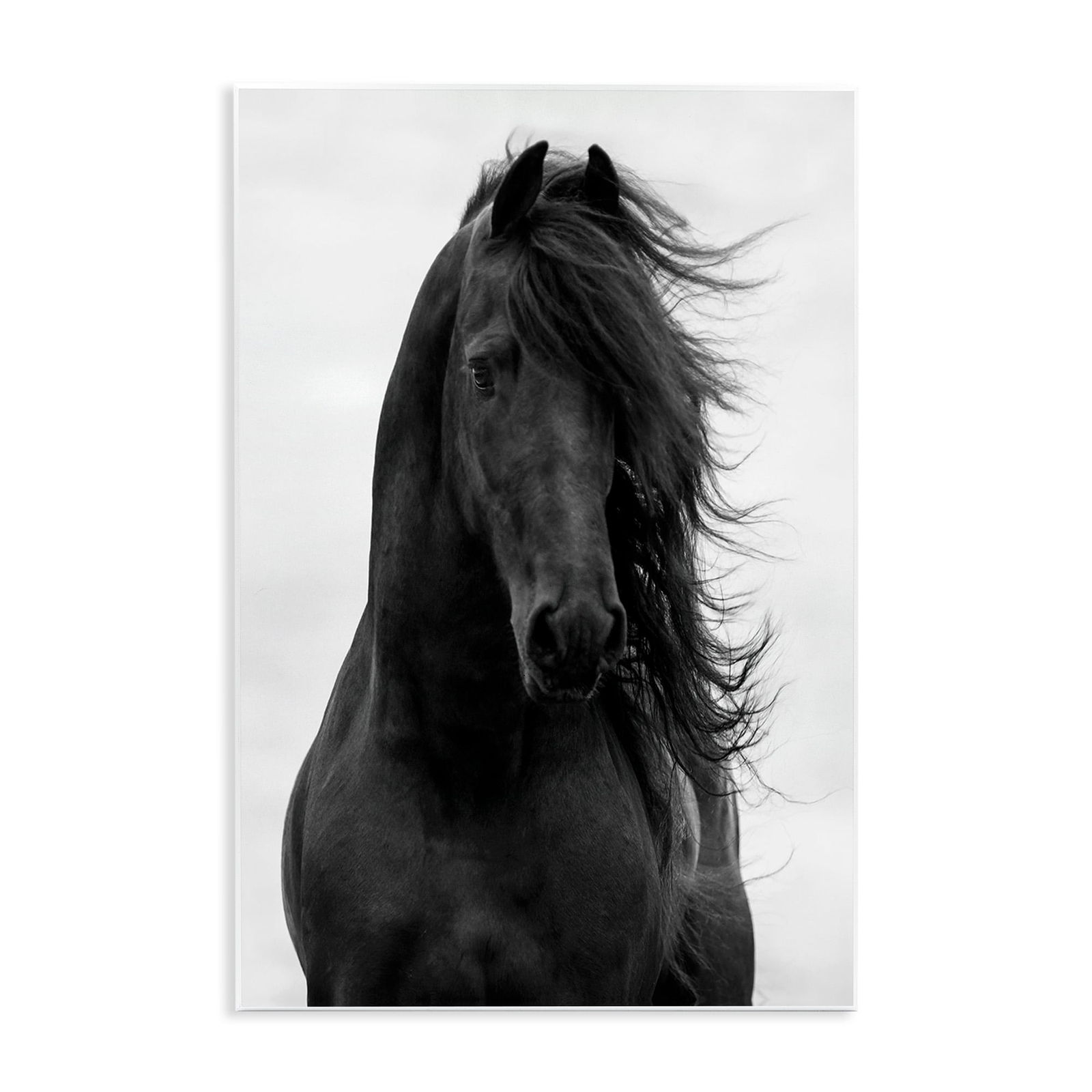 Stupell Black Stallion Horse Portrait Soft Grey Sky