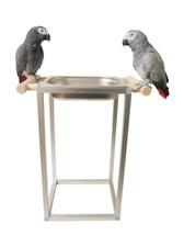 Papageienspielzeug, Freisitz, Papageien, Badewanne, Badehaus, abnehmbar,ZINKFREI