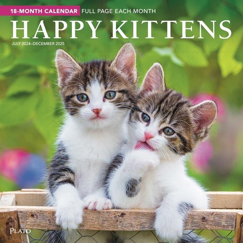 Happy Kittens | 2025 12x24" 18 Months Square Wall Calendar | Jul '24-Dec '25