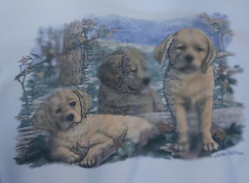 Vintage labrador retriever club - Gem