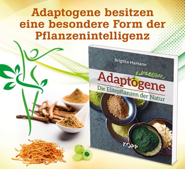 Thumbnail - Adaptogene - Die Elitepflanzen Der Natur Brigitte Hamann Kopp Verlag