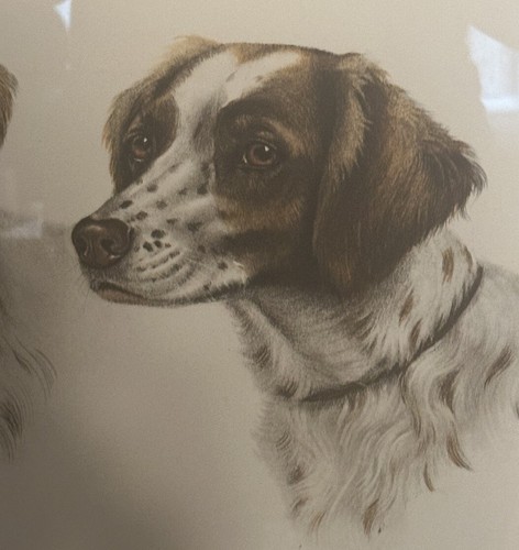 LEON DANCHIN Framed Pencil Signed HUNTING DOGS Sporting Art Lithograph - Picture 2 of 6