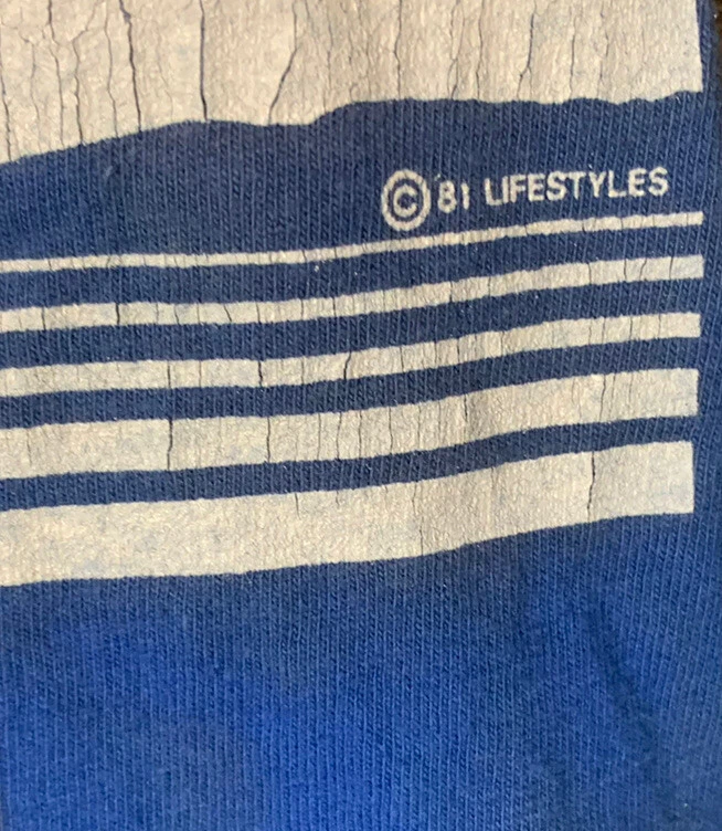 VTG 80S PALM SPRINGS MEN T-SHIRT CALIFORNIA PLAM TREES AND BIRDS MENS SZ L - Image 3 of 4