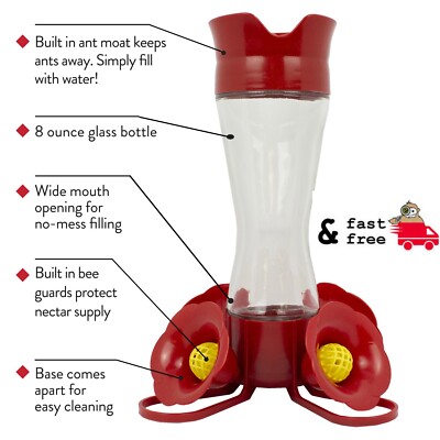 Perky-Pet Hummingbird 8 oz. Glass Nectar Feeder 4 ports Built-in Bee Guards