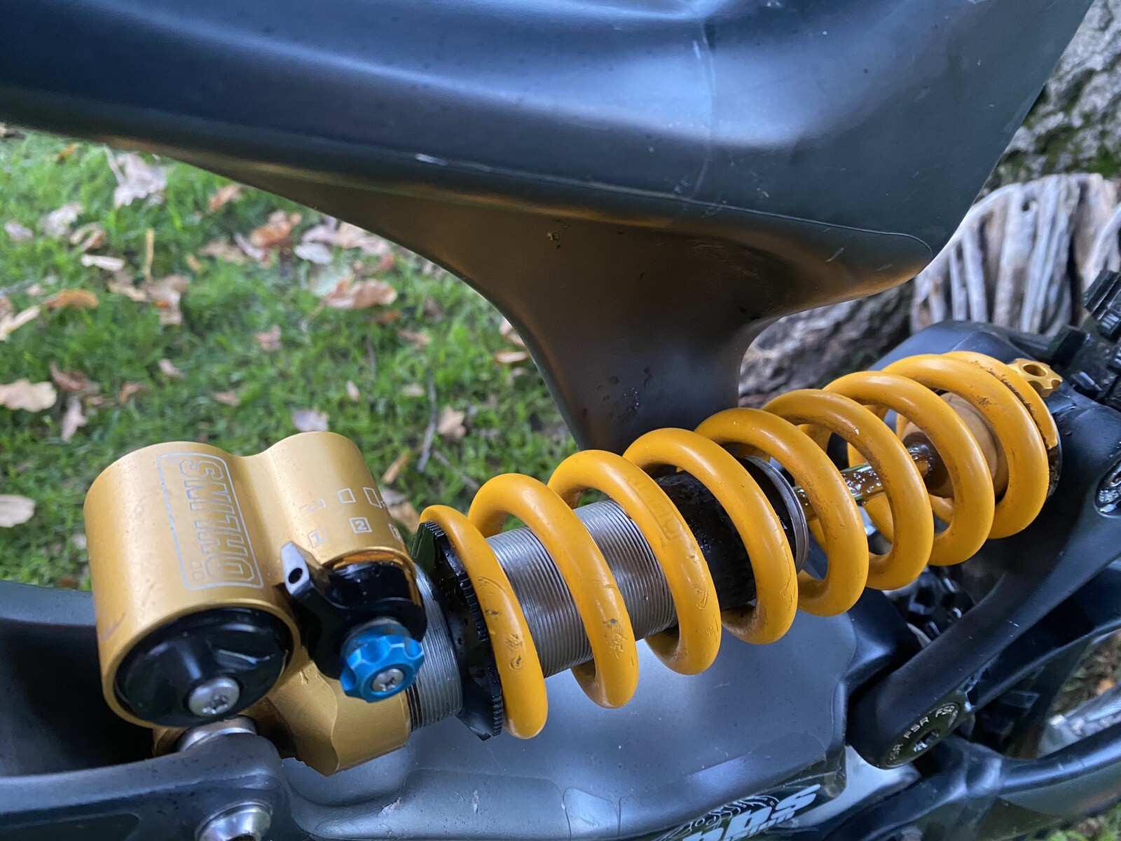 carbon road bike gumtree