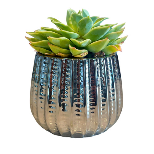 4" Ceramic Flower Planter, Ceramic Pot Planter, Indoor Ceramic Bowl, Housepla...