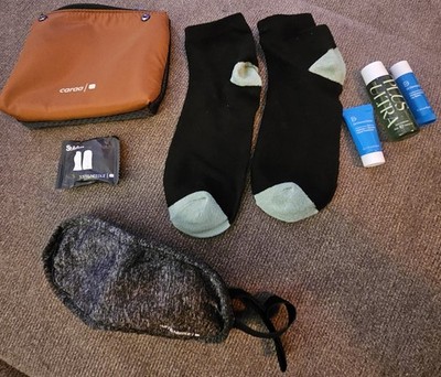jetBlue Caraa First Class Amenity Kit Dr. Dennis Gross Tuft & Needle Sealed New!