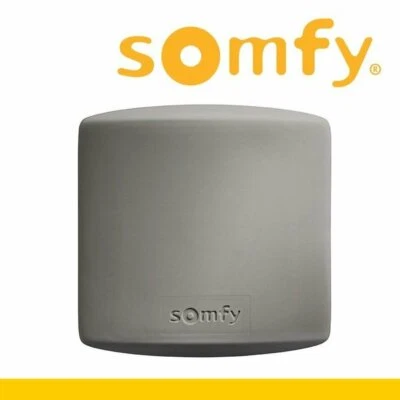 Somfy Access Receiver iO Telecomandi Controllo Ricevitore Radio Universale