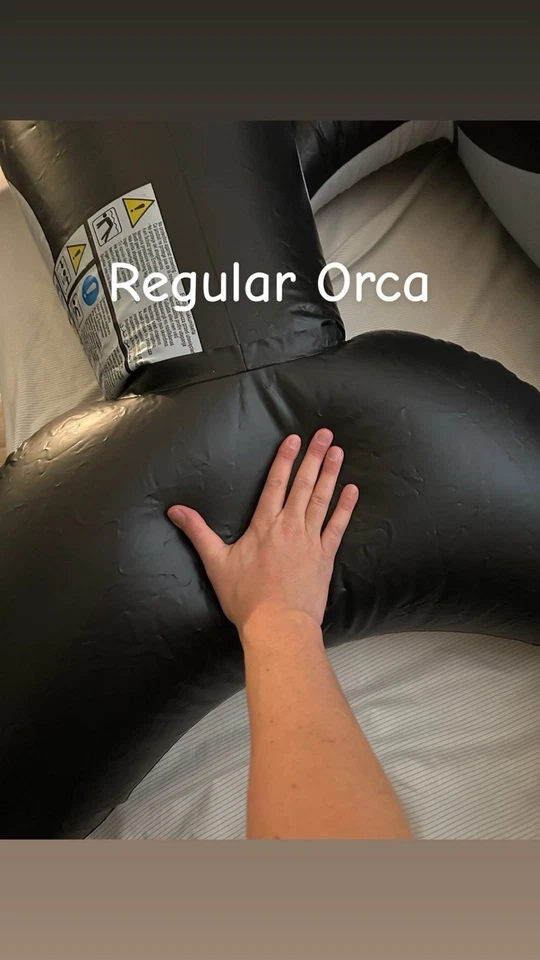 Custom SOFT intex Orca Whale Vinyl Inflatable - Image 3 of 4